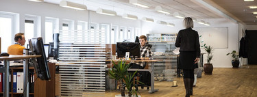 ¿Despachos u oficinas abiertas? La eterna lucha por la productividad