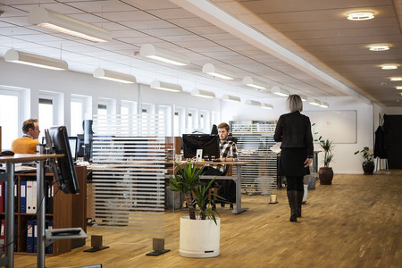 ¿Despachos u oficinas abiertas? La eterna lucha por la productividad