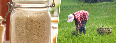Spanish rice is discovering that there is something worse than droughts and pests: rice from Myanmar and Cambodia