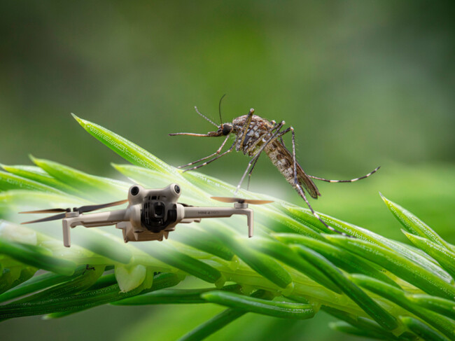 Dron Mosquitos