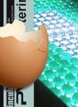 Gallinas modificadas genéticamente para producir huevos ricos en proteínas humanas