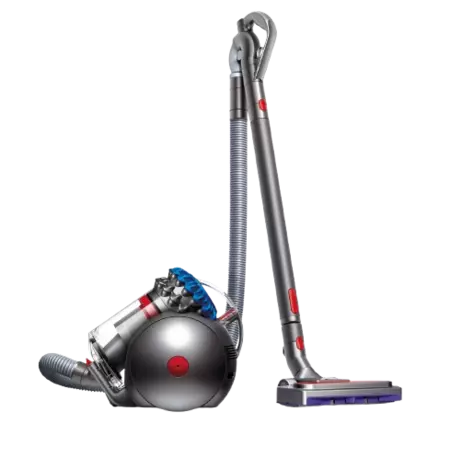 Dyson