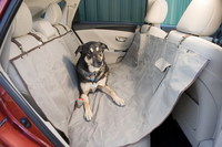 Toyota Venza, el amigo de los perros