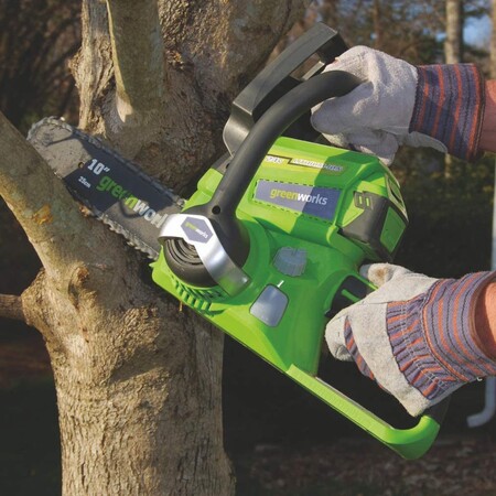 Ofertas del día en herramientas profesionales y de jardinería en Amazon con marcas como Greenworks, Bosch Professional o Workx