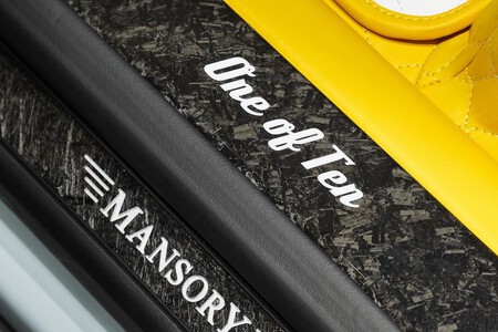 Mansory Venatus Evo S