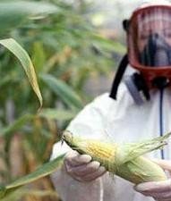 Conferencia Internacional de Contaminantes Alimentarios y Desórdenes Neurológicos