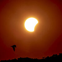 Los científicos cuentan los días para el eclipse total de Sol más largo en décadas: el día se convertirá en noche durante más de seis minutos 