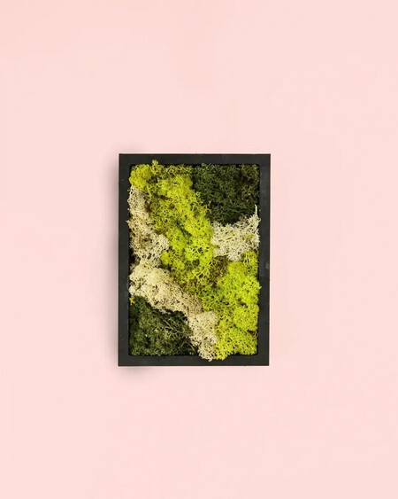 Jardin Vertical Mini