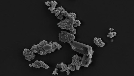 Este microorganismo prospera más rápidamente en un meteorito que en rocas de origen terrestre