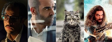 Los estrenos de Netflix en noviembre 2020: 55 series, películas y documentales originales