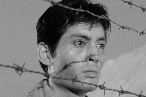 Tatsuya Nakadai fue uno de los mejores actores de la historia de Japón. Lo demostró en una trilogía magistral que puedes ver en streaming