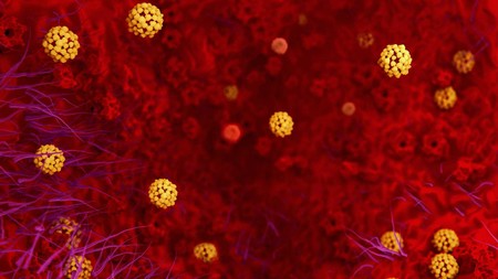 Transmisión del coronavirus desde un paciente alemán sin síntomas