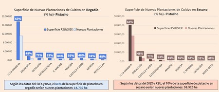 Datos de nuevas plantaciones de pistacho