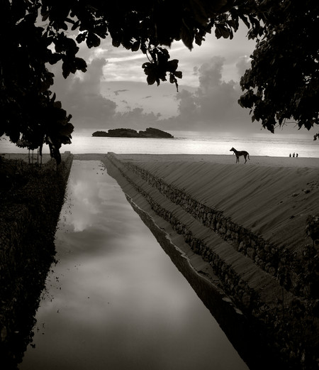 R Dominicana 2