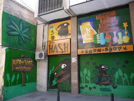 Holanda restringe el Cannabis ¿oportunidad?