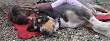 Los diez gestos que hace tu perro y significan que él te ha adoptado a ti 