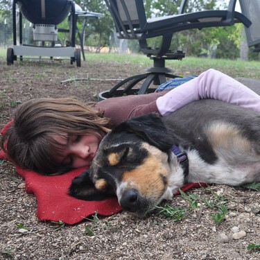 Los diez gestos que hace tu perro y significan que él te ha adoptado a ti 