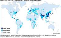 Donde en el mundo están las enfermedades infecciosas