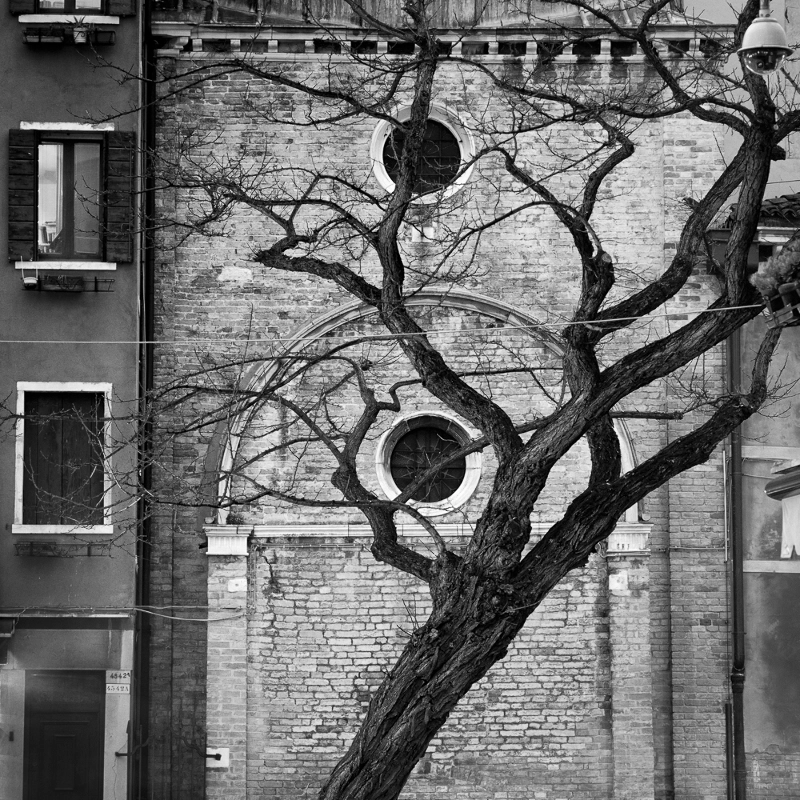 Foto de Rafael Rojas - Timeless (1/4)