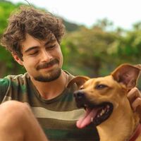 Hoy en Netflix, una película entrañable que ya es número 1 en España. Una historia conmovedora sobre un problema real con un perro como protagonista 