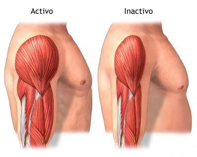 No hacer nada disminuye la masa muscular