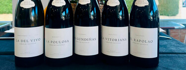 Directamente desde El Bierzo este vino blanco es de una de las mejores añadas e ideal para acompañar recetas de pescado 