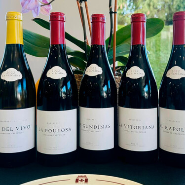 Directamente desde El Bierzo este vino blanco es de una de las mejores añadas e ideal para acompañar recetas de pescado 