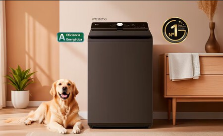 Perro Junto A Lavadora Lg