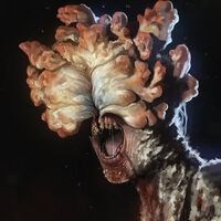 The Last of Us: qué es el Cordyceps, el hongo parásito que acabó con el mundo de la serie y que existe en nuestra realidad 