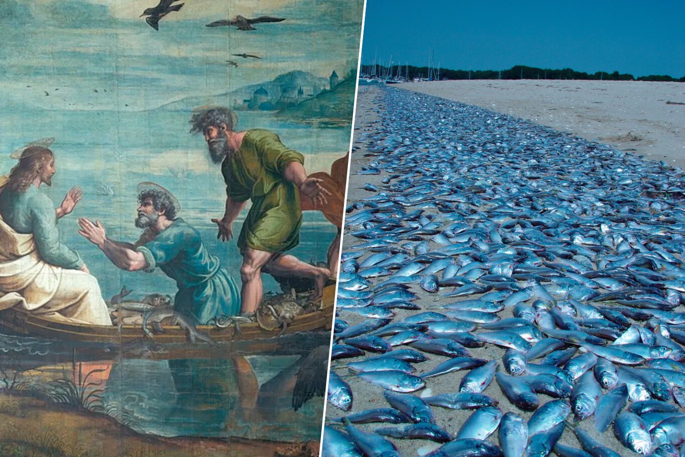 El milagro de los panes y los peces es uno de los grandes trucos de magia de la Biblia. Ahora sabemos "cómo se hizo"