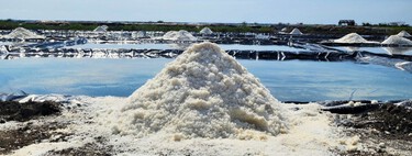 Este es el destino de México donde se produce el tesoro de la cocina conocido como el “oro blanco”