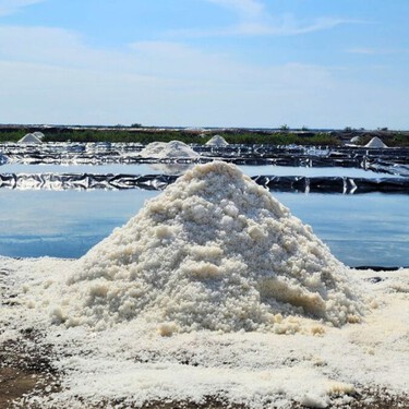 Este es el destino de México donde se produce el tesoro de la cocina conocido como el “oro blanco”