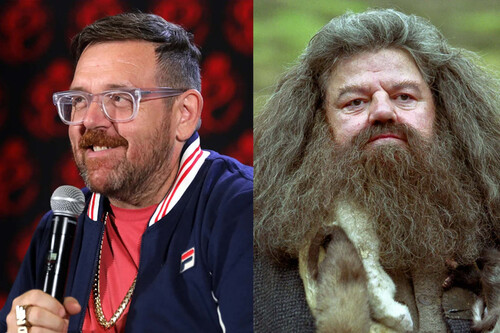 Nick Frost Hagrid Harry Potter