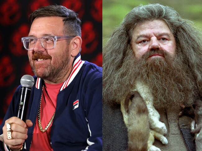Nick Frost Hagrid Harry Potter