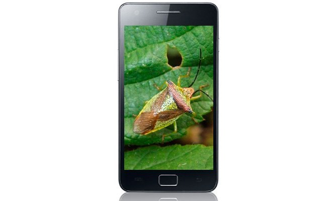 Samsung Galaxy SII Bug
