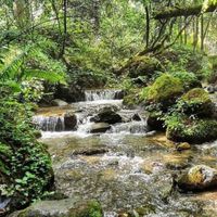 No es Puebla ni Hidalgo: este paraíso de cascadas está en Edomex y queda a solo 1 hora de la CDMX