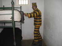 El delito de defraudación fiscal