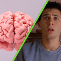 El “modo Reese” es real: científicos confirman que “apagar el cerebro” y quedarse en blanco es una función normal de la mente humana 