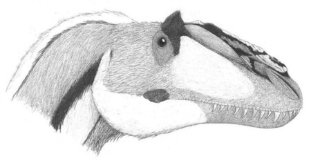 El animal con plumas más grande de la historia fue un antepasado del Tyrannosaurus rex