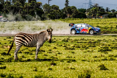 Tanak Rally Safari Wrc 2023