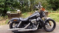 El sonido de un motor Harley Davidson es música, pero no parece suficiente