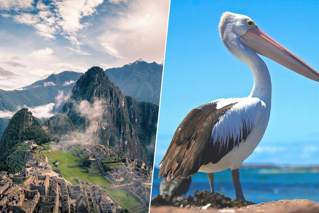 Antes de los incas, una civilización creó un imperio inexpugnable en las alturas del Perú. Su secreto: heces