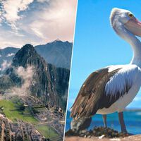 Hubo una civilización avanzada en las alturas de los Andes que cimentó su dominio en una sola cosa: las heces