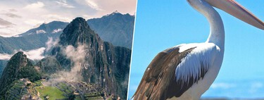 Hubo una civilización avanzada en las alturas de los Andes que cimentó su dominio en una sola cosa: las heces