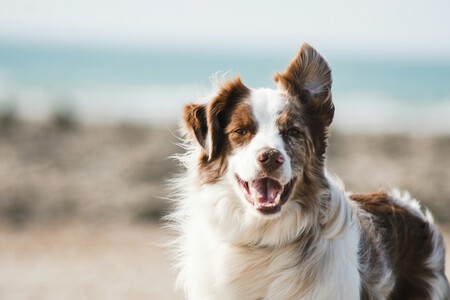Pauline Loroy U3af7hgusrk Unsplash