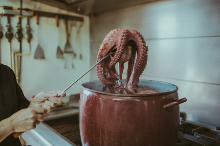 Pulpo Cocido C Bodega O Bocoi