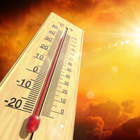 Malas noticias: a este ritmo esta semana podemos batir el récord histórico de temperatura mundial de 54 grados