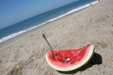 Hábitos alimenticios: ¿Qué nos llevamos a la playa? La cesta de picnic a examen