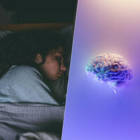 A relação entre sono e Alzheimer em uma ação “simples”: o nosso cérebro também precisa se limpar 