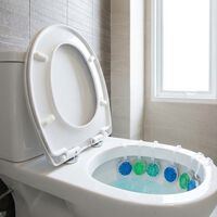 Poner mal las pastillas del inodoro puede causar serias y caras averías en el baño. Esto es lo que recomiendan los fabricantes